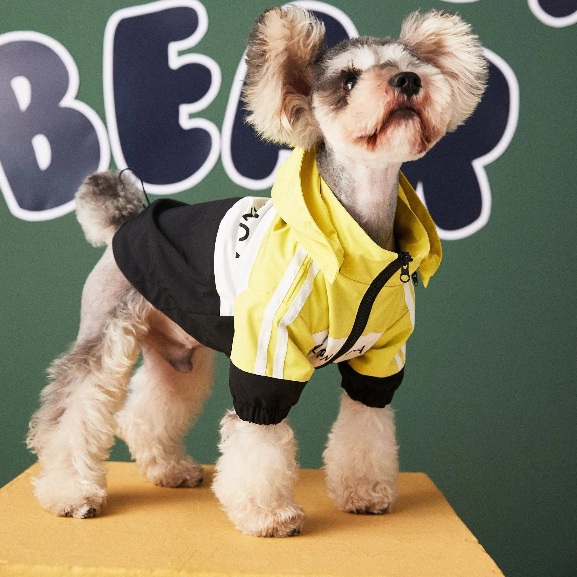 Waterproof polyester dog raincoat jacket in red, Asian sizing S to 3XL