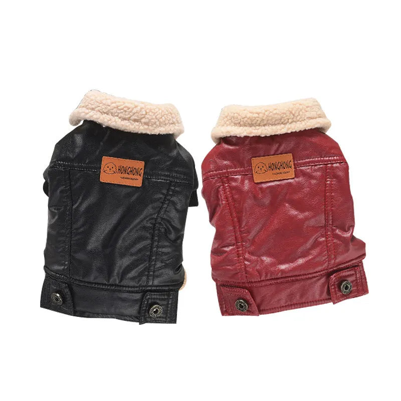 Red two-legged PU leather dog coat with fleece lining, shown on a small dog.