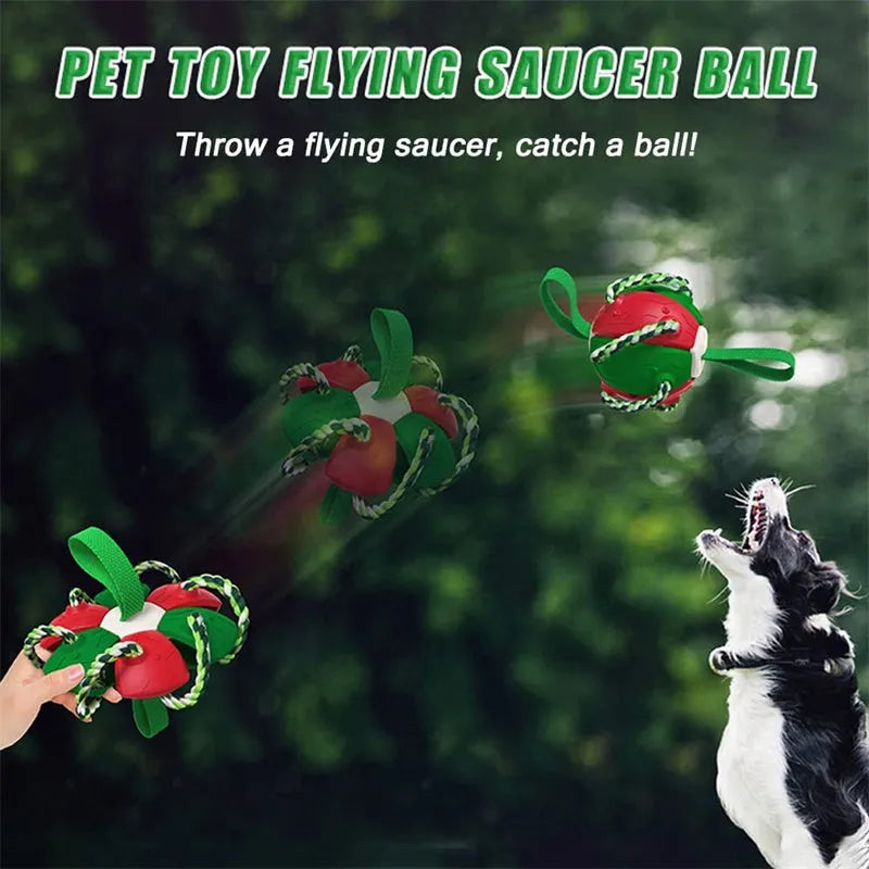 Interactive dog football soccer ball with tabs, flattened into frisbee shape, with woven nylon rope and cotton chewing rope, on grass.