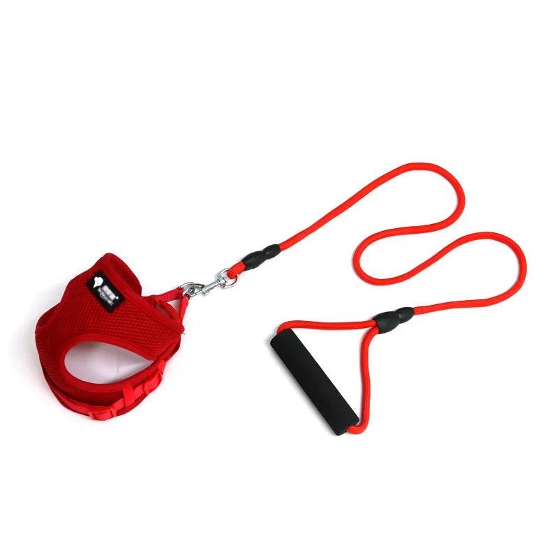 Blue dog leash with a round nylon rope and a grey foam handle on a white background.