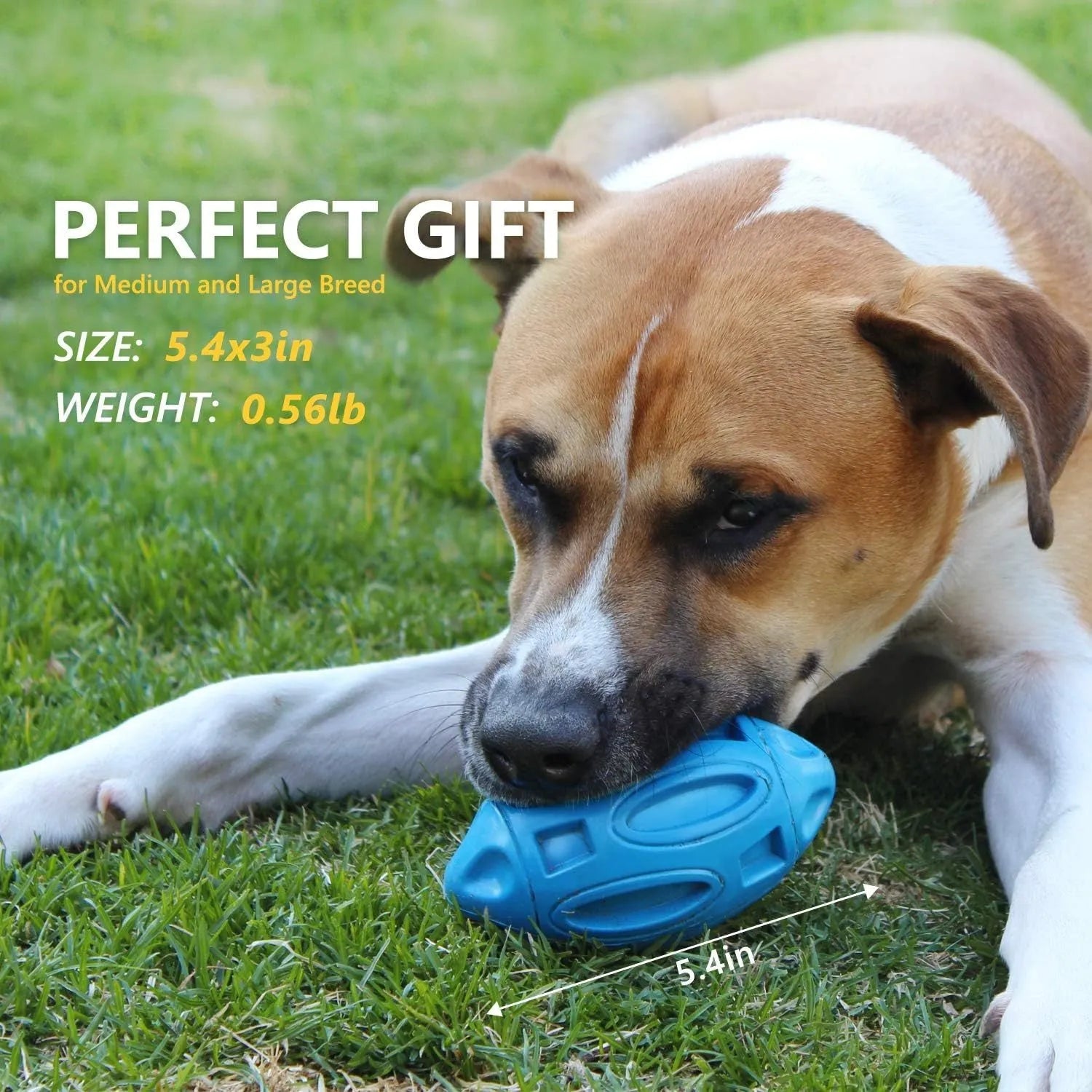 Natural rubber squeaky dog ball toy with surface grooves for medium and large breed aggressive chewers