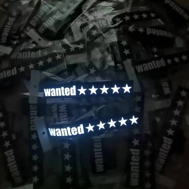 Dynamic Illumination EL Window Sticker Kit with 0.5mm panel thickness for car decoration