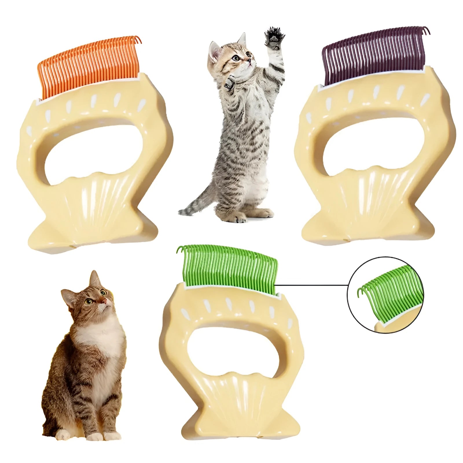 Shell-shaped plastic pet grooming comb with bent wire bristles in green, orange, or purple colours.