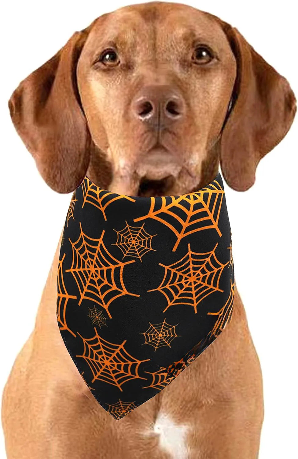 Black and orange reversible Halloween dog bandana with pumpkin and spider web patterns, showing adjustable neck strap