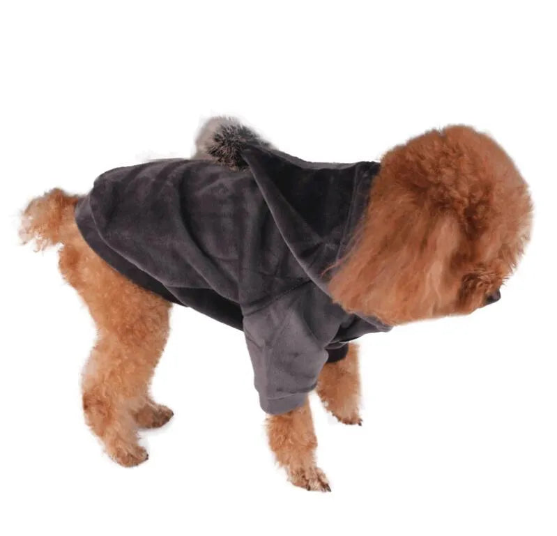 Blue hot dog dog costume on pet with grey background, available in sizes S to XXL