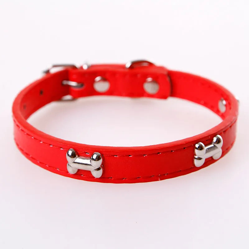 Pet leather collar with metal buckle in five colours for dogs and cats in M and S sizes