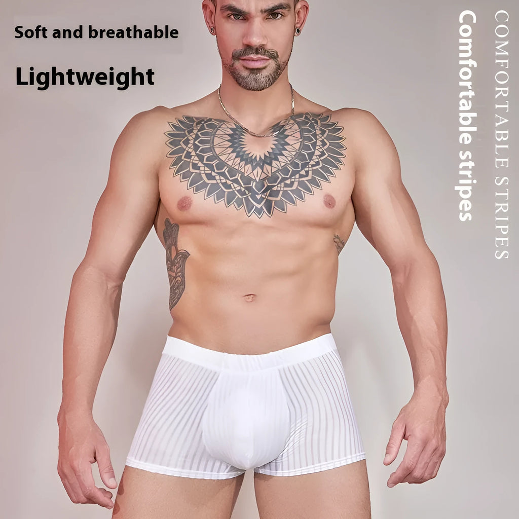 Men's striped nylon underwear with thin transparent fabric and elastic waistband in black, dark grey and white colours