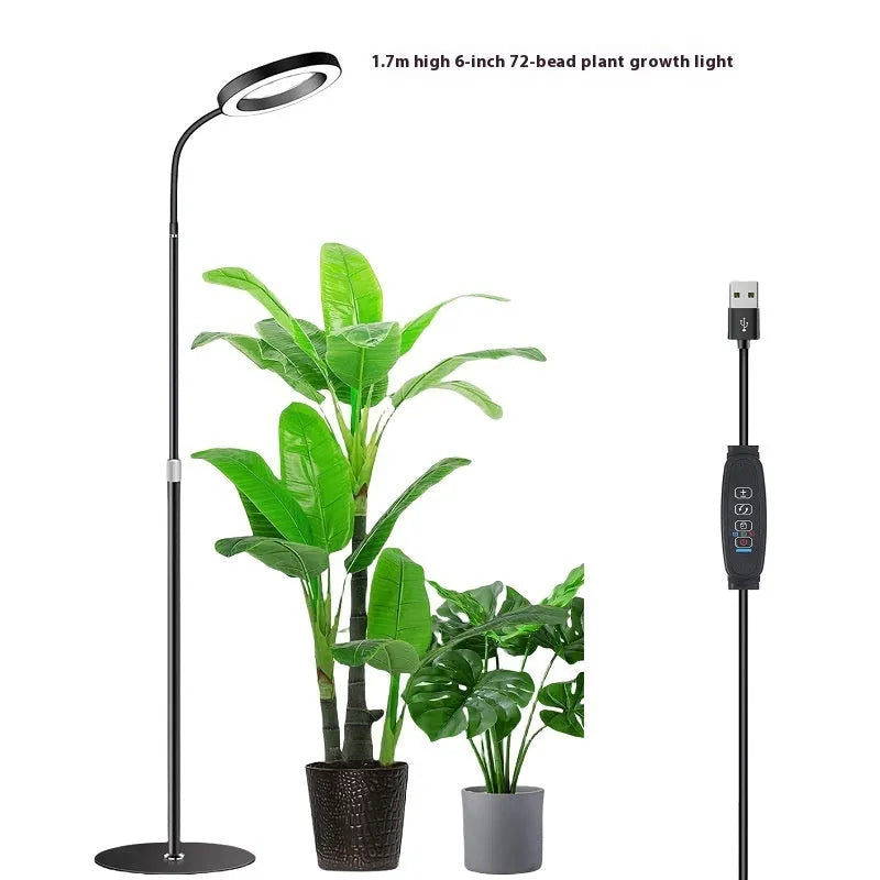6-inch diameter Angel Ring grow light on a retractable floor stand, for indoor houseplants.