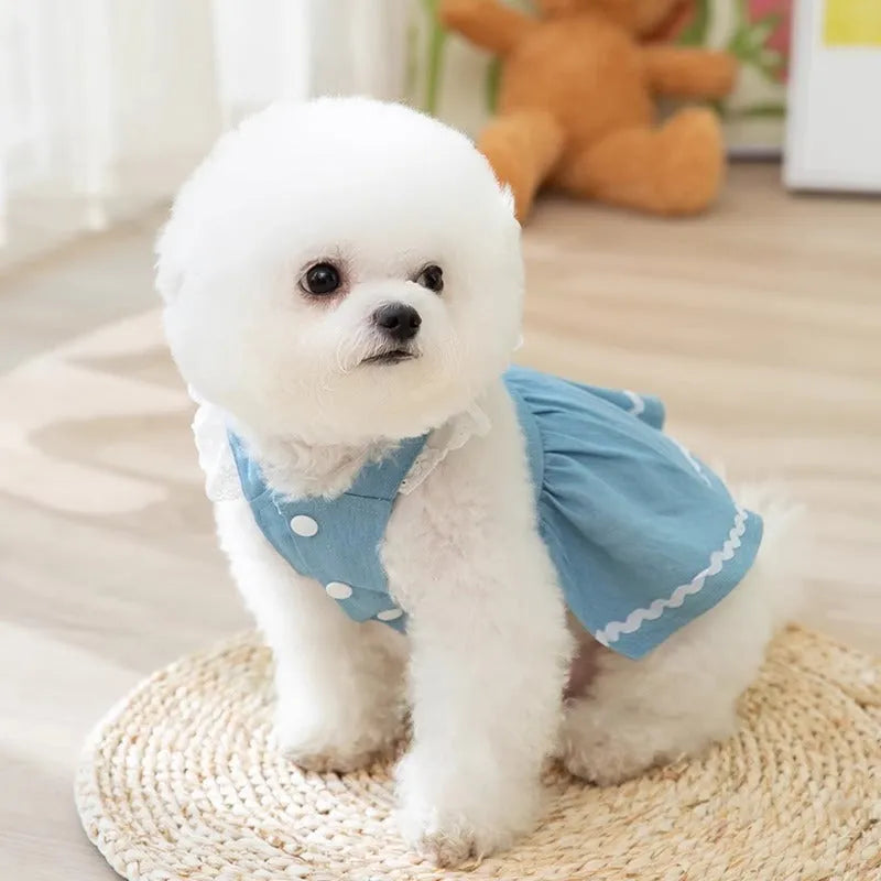 Strawberry denim skirt dog clothes in Bondi Blue colour showing traction backing and weight-based sizing options