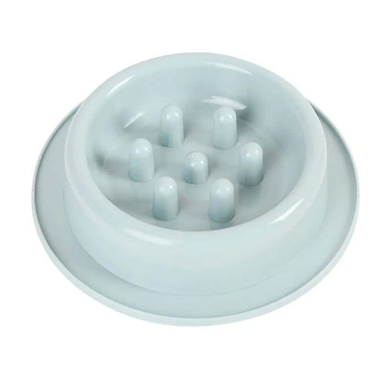 PP plastic slow feeder pet bowl in macaroon colour with raised feeding obstacles