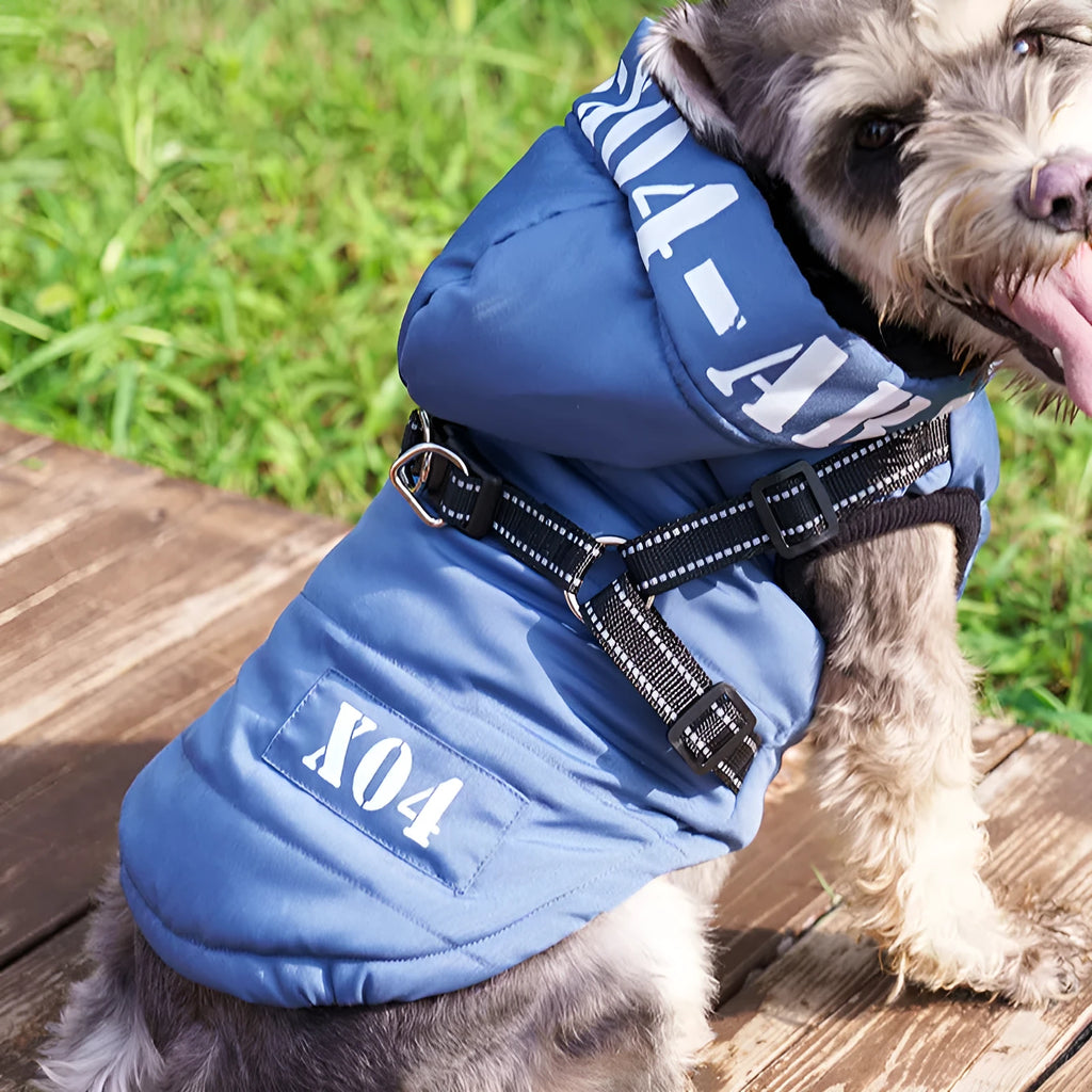 Red winter dog jacket with hood and fleece lining shown on small dog