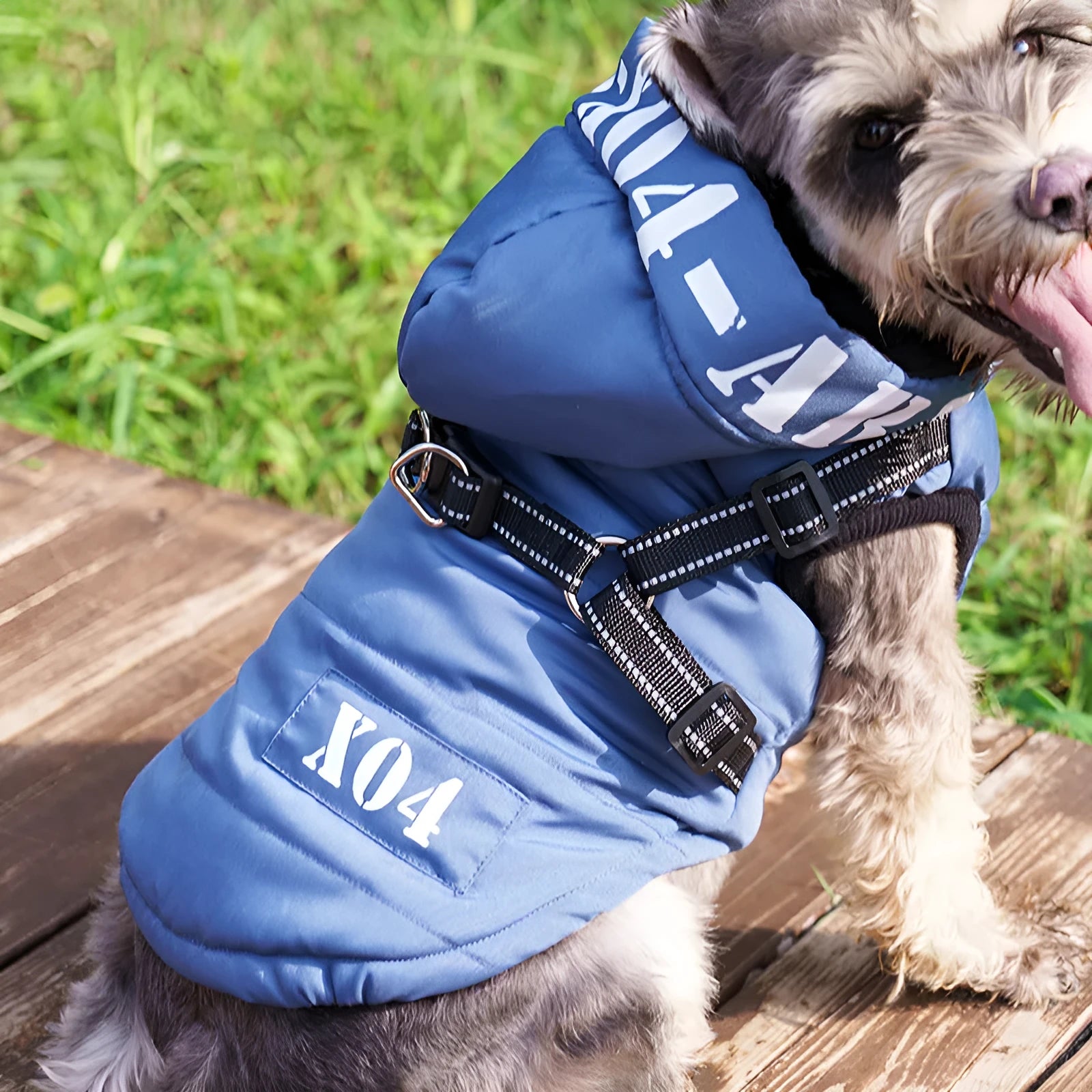 Red winter dog jacket with hood and fleece lining shown on small dog