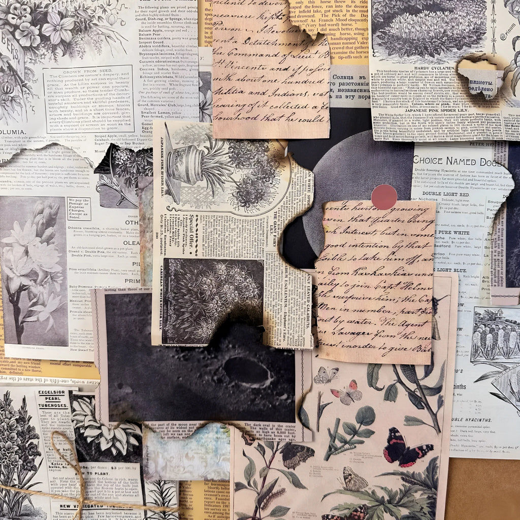 30 pieces of retro-style printed scrapbook paper with botanical, floral, letter, and musical designs