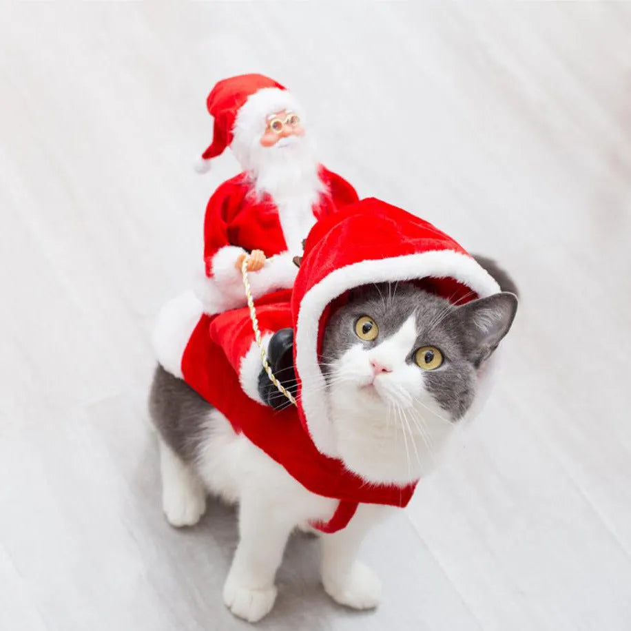 Green elf-style dog Christmas costume on a dog, made from cotton with saddle-shaped design and adjustable bust fastenings.