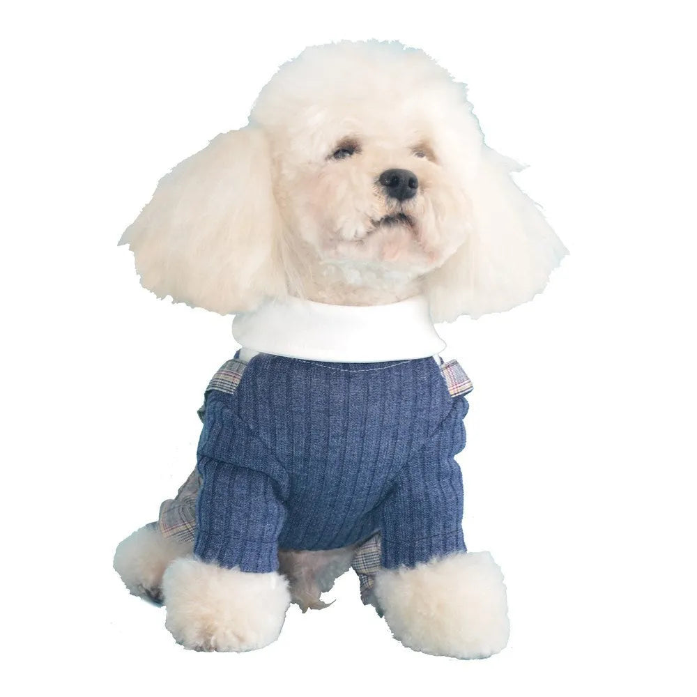 Orange cotton dog shirt shown on small breed pet, demonstrating suit-style pet clothing