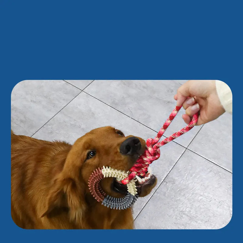 43cm blue braided rope dog chew toy with knotted design for biting resistance