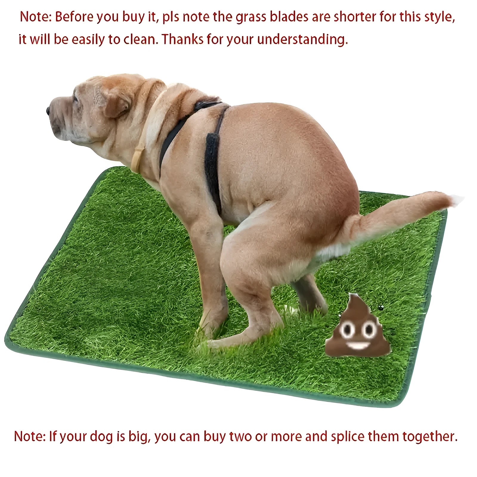Washable artificial grass dog toilet training mat shown in small, medium, and large size options.