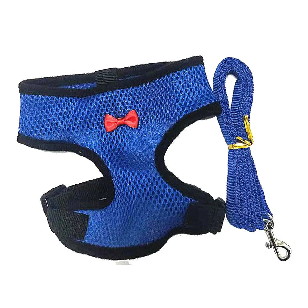 Poultry vest harness on a chicken with an attached lead, shown in red, with size chart visible.
