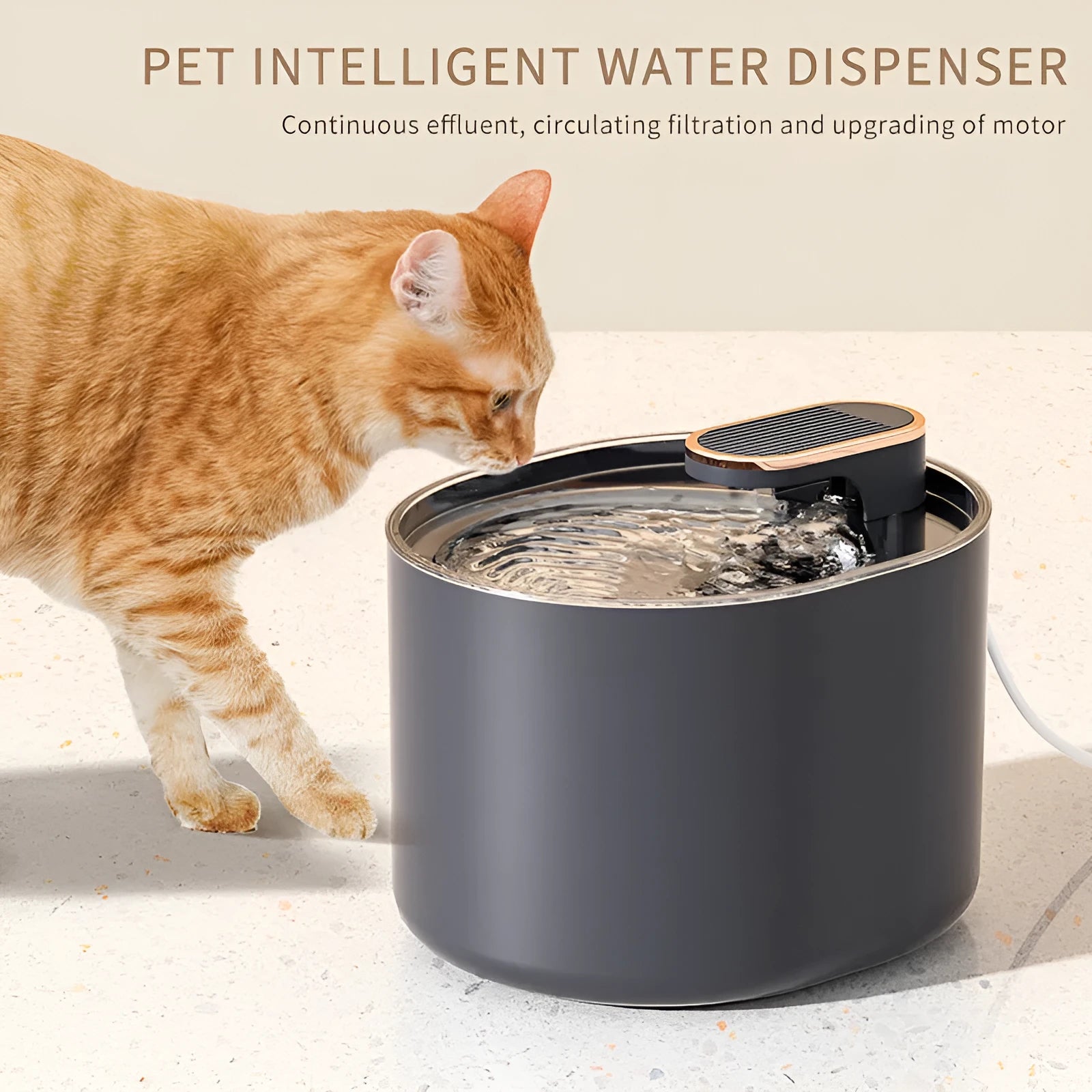Automatic pet water fountain with USB cable, water pump, and filter element for cats and dogs in Berlin Blue colour
