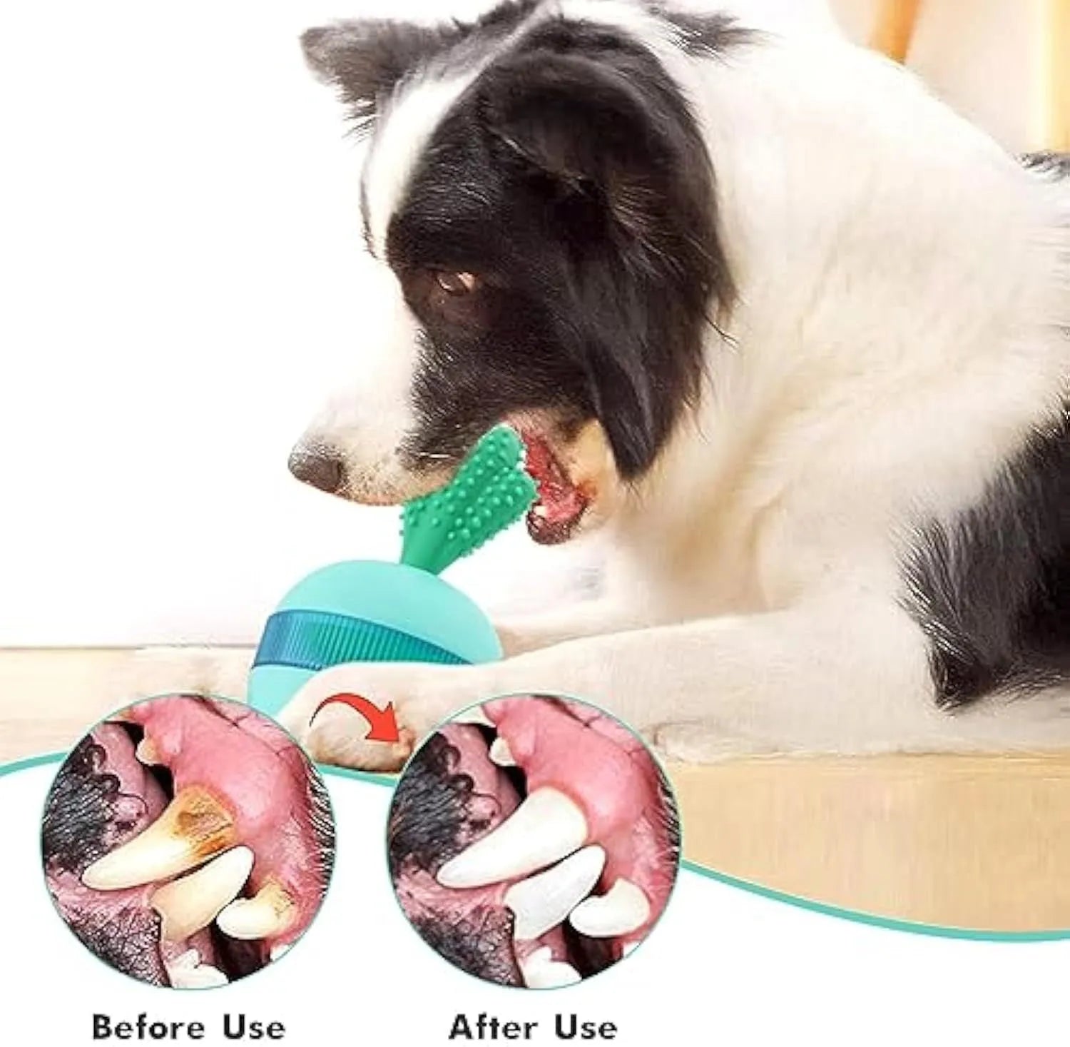 Blue and green durable rubber interactive dog treat dispensing puzzle ball for medium large dogs