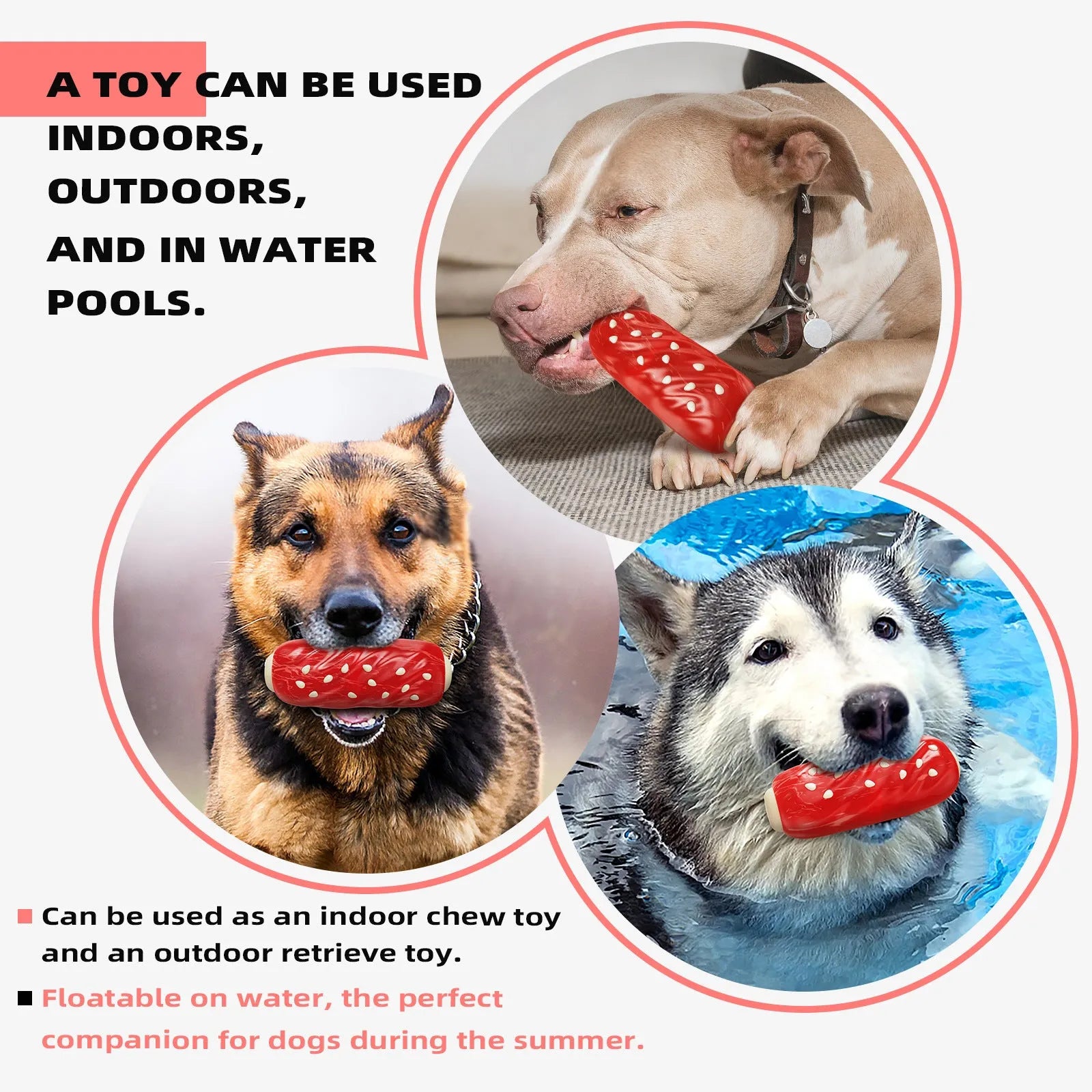 Primary coloured plastic molar rod dog chew toy with ridges and a treat cavity