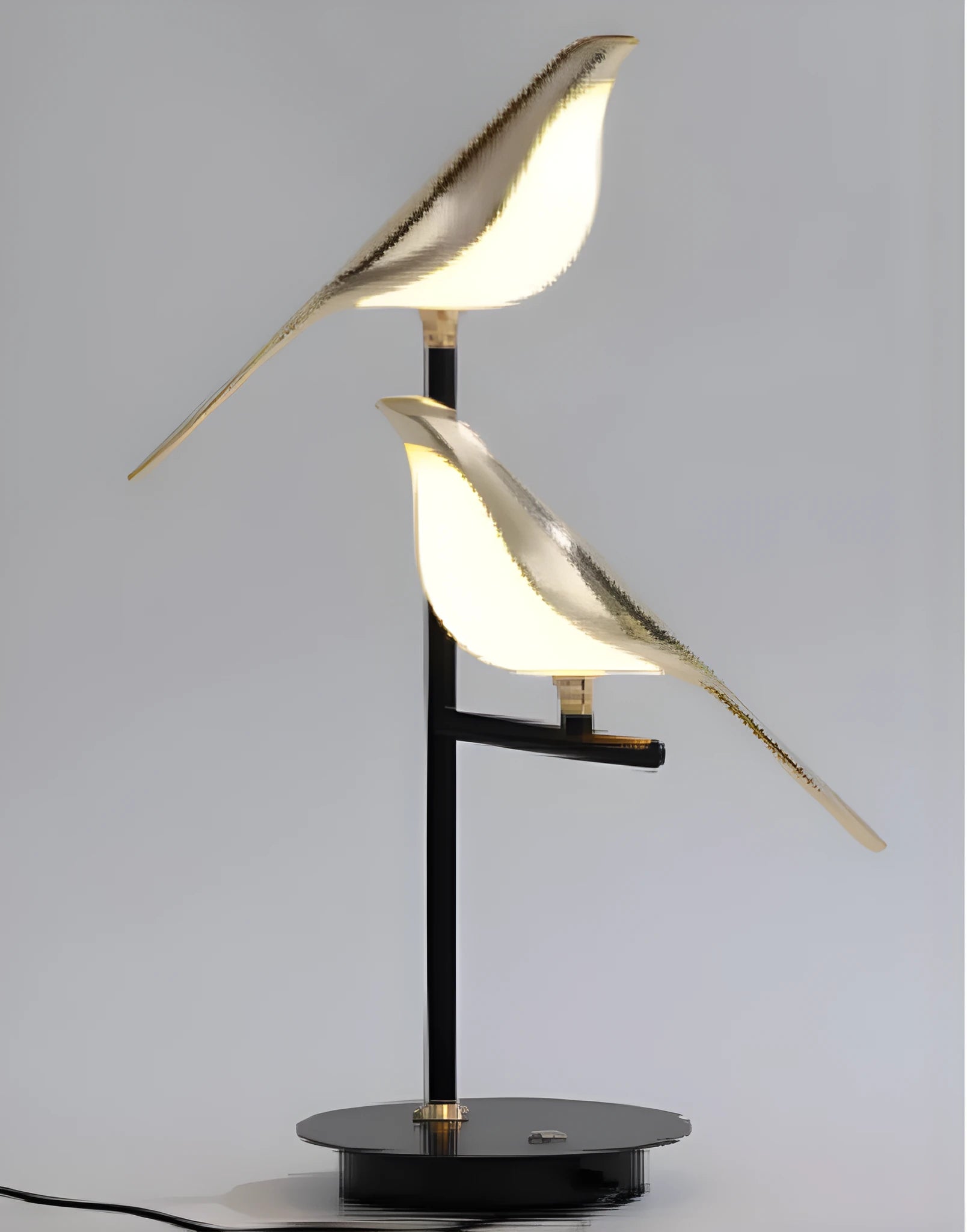 Modern simple aluminium alloy hall lamp with iron chandelier design and adjustable height feature