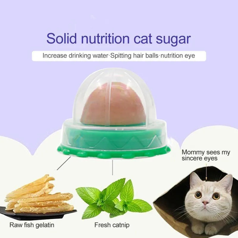 Single bag of 12g cat sugar lickable snack and catnip toy for cats and dogs