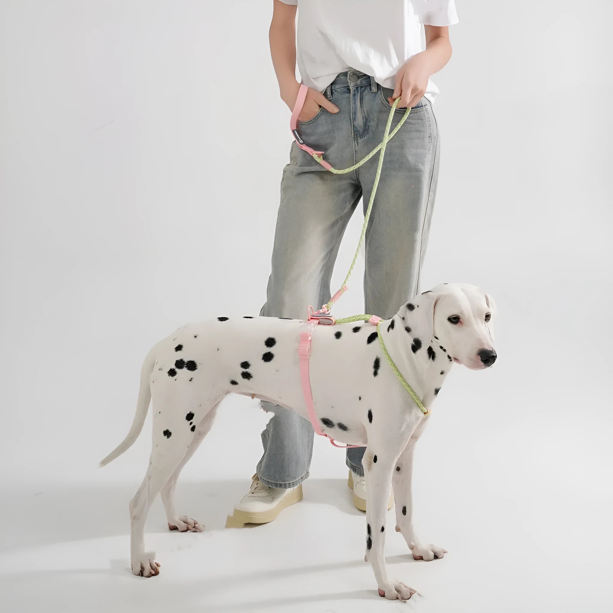Solid colour PVC dog hand holding rope leash in dark red purple yellow or taoyao green options