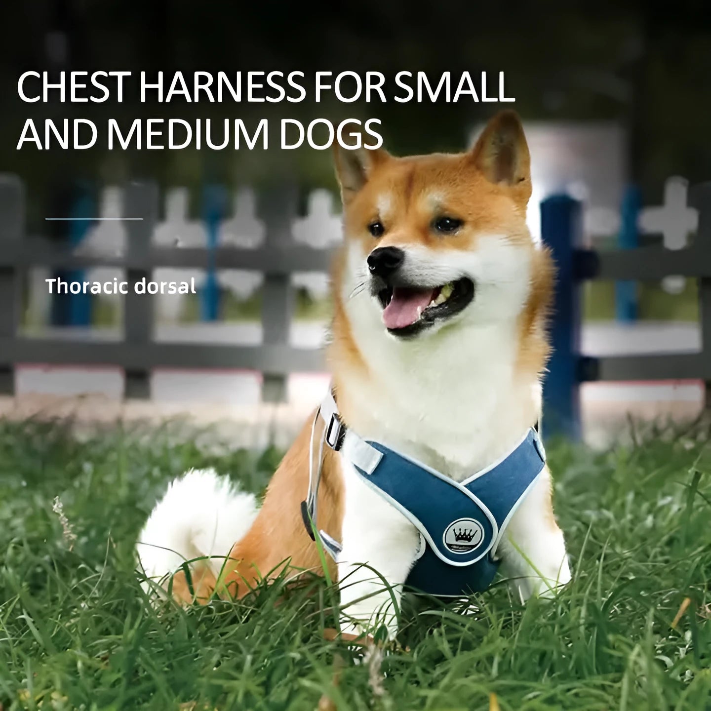 Adjustable mesh dog harness with reflective straps and metal back ring for leash attachment