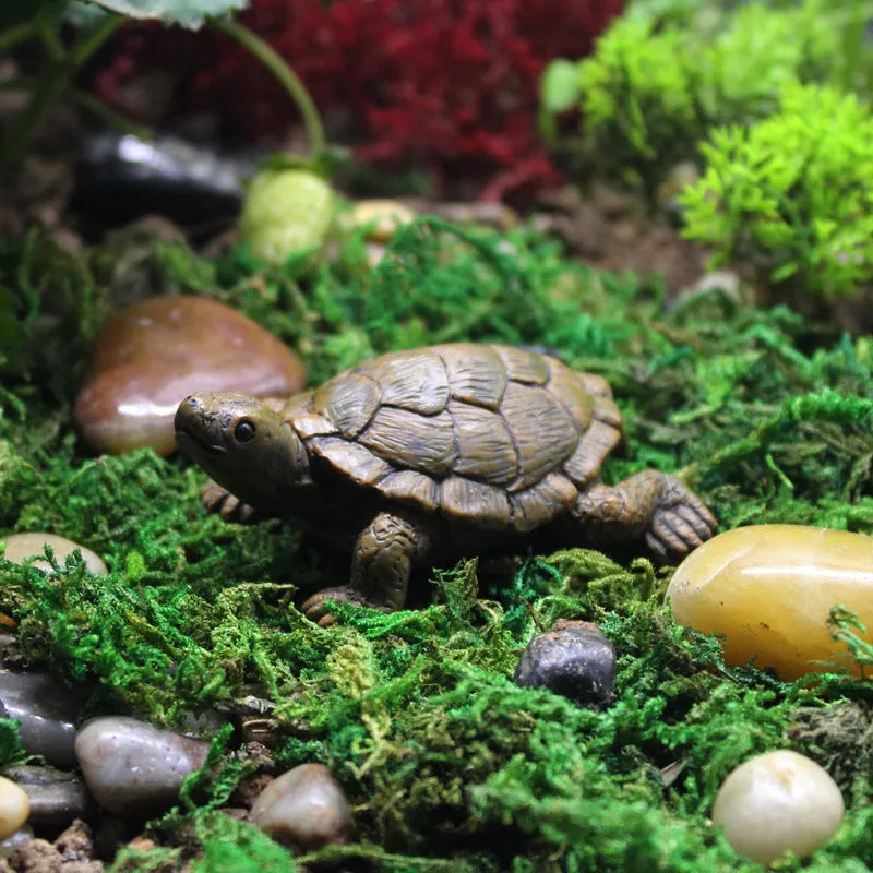 Realistic resin turtle ornament for micro landscape gardening decoration