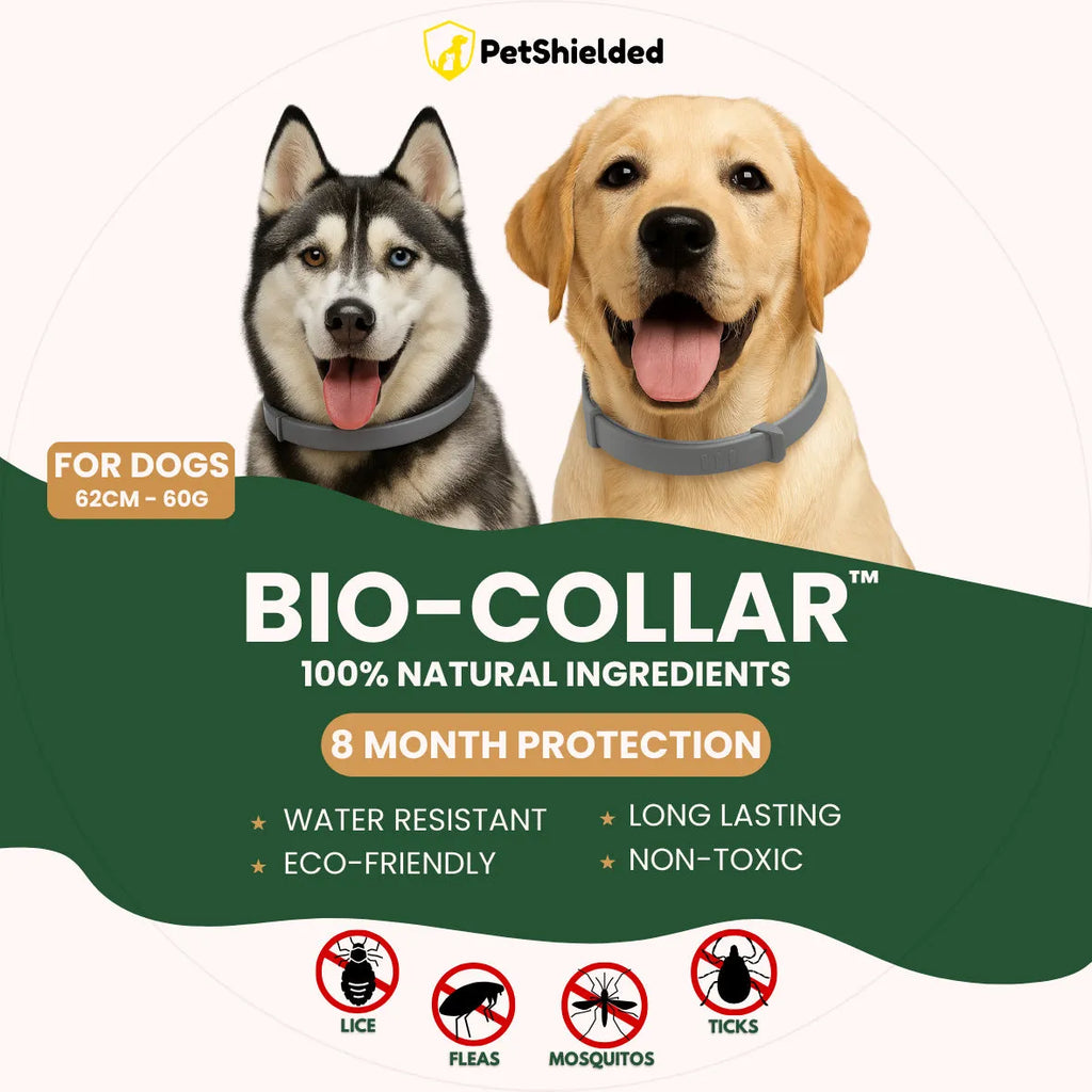 Adjustable pet anti-mosquito collar for cats and dogs made from TPR silicone with natural plant extracts
