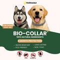 Adjustable pet anti-mosquito collar for cats and dogs made from TPR silicone with natural plant extracts