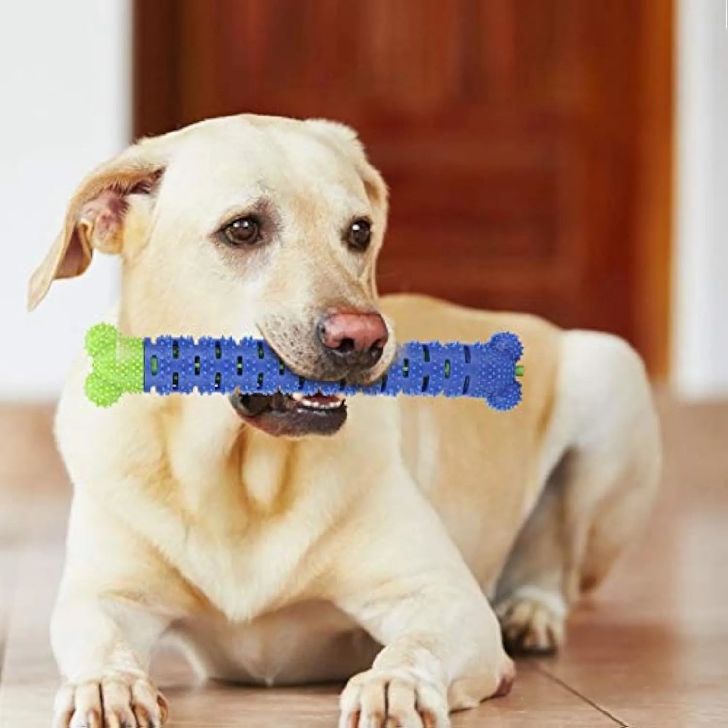 Blue green silicone dog dental cleaning stick chew toy with brush head texture, measuring 25 cm.