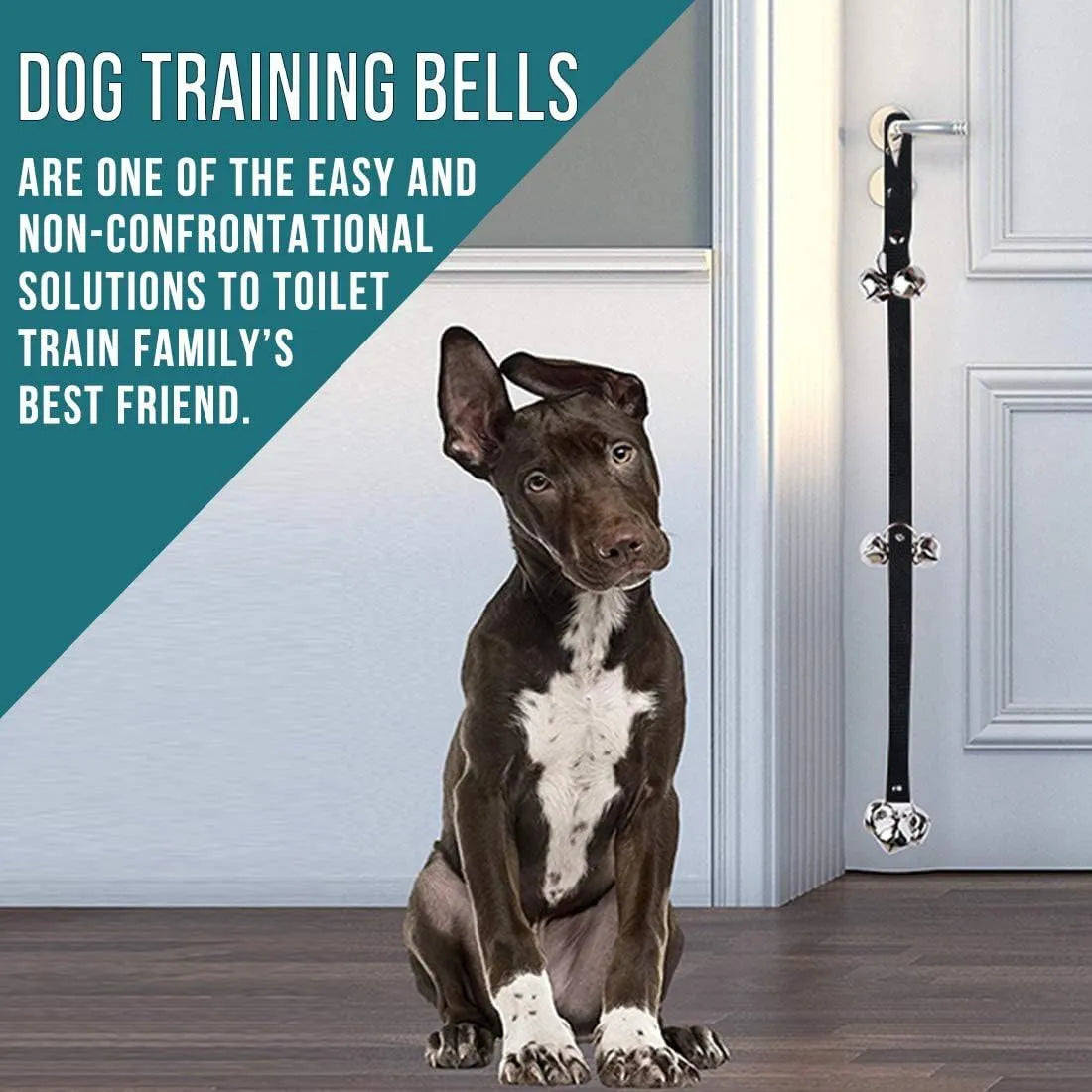 Premium adjustable dog training doorbell with extra large silver metal bells and nylon strap