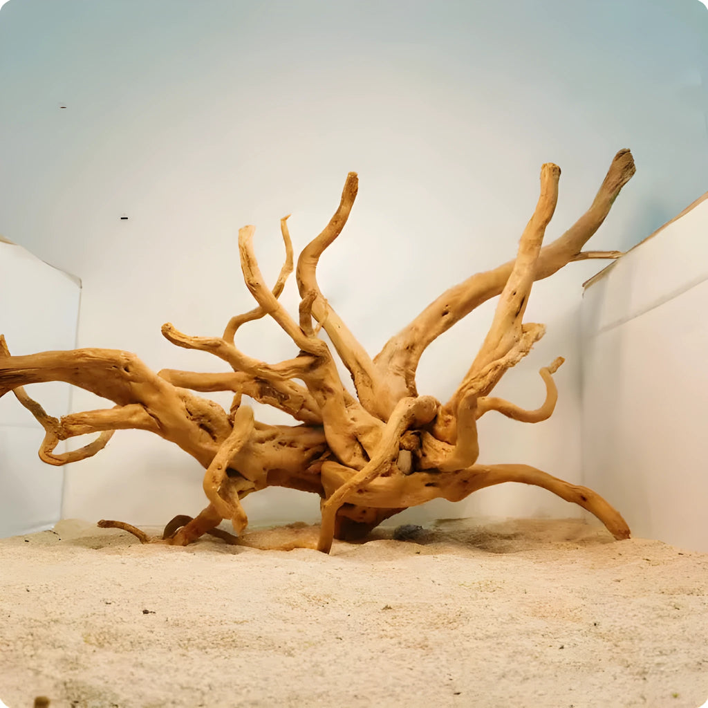 Xiaoqi root natural wood aquarium decoration ornament for fish tank scenery on a white background.