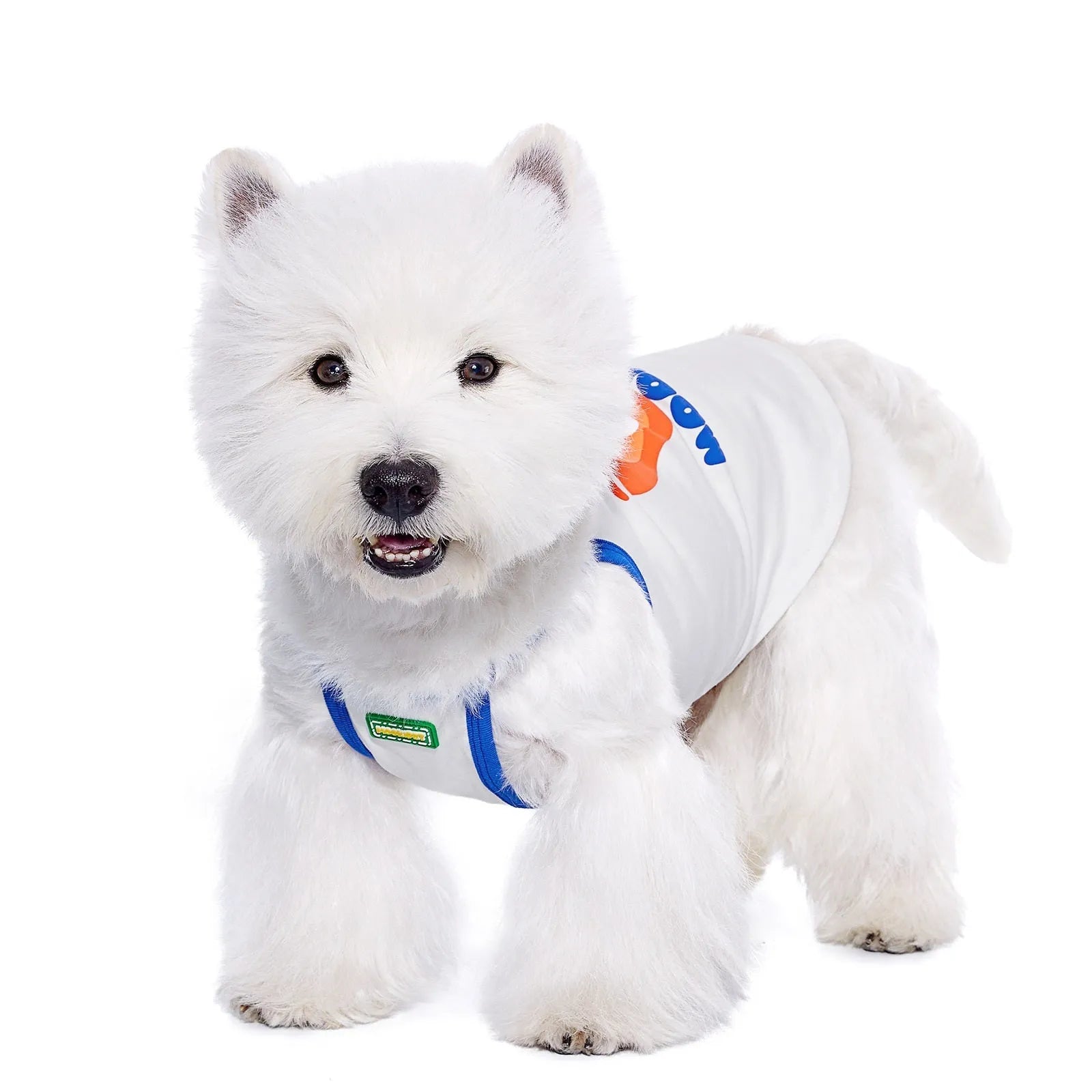 Beige cotton blend pet summer bra top for small dogs like Bichon Maltese, size XXS to 2XL