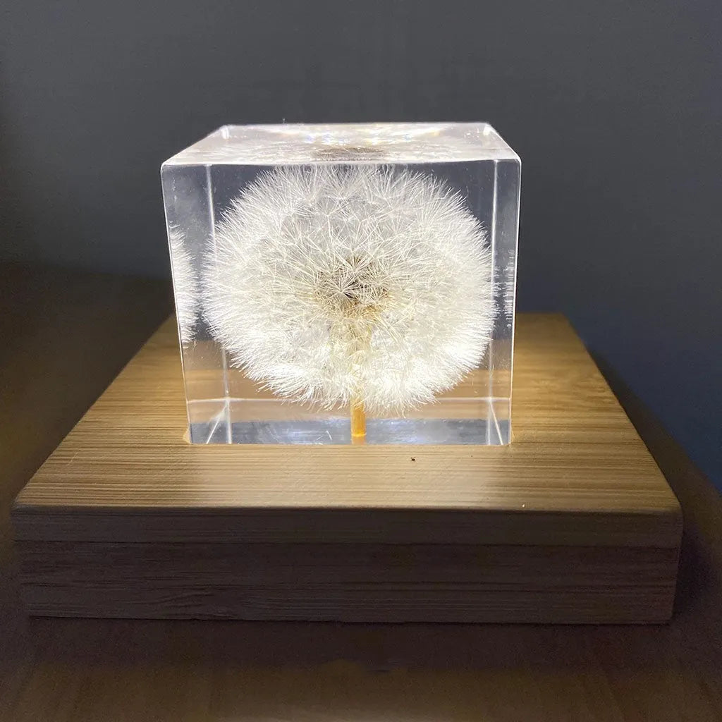 Clear resin cube with preserved dandelion flower, wooden box, and USB charging base