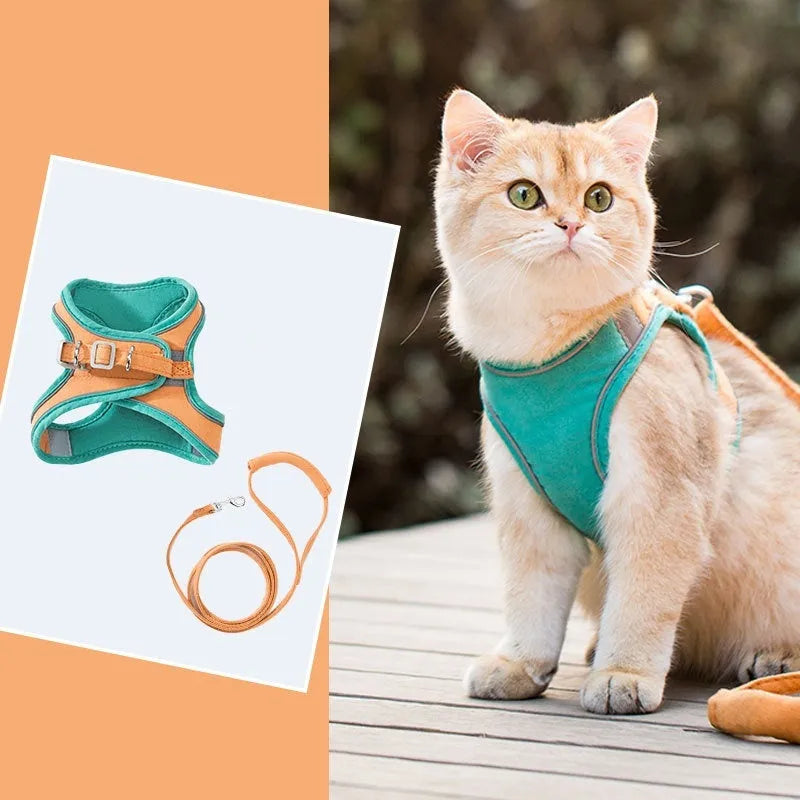 Blue and orange stitched reflective suede cat walking harness with a separate 1.5 metre rope.