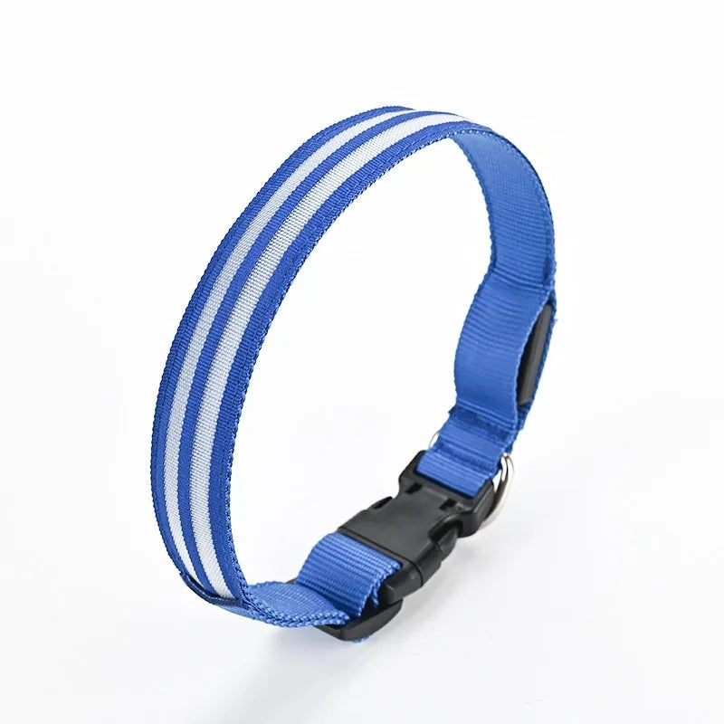 Shiny nylon dog collar with double fiber and luminous modes in blue, green, and red options on a pet