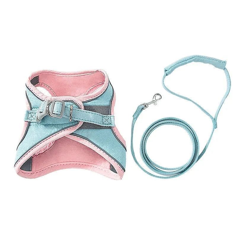 Blue and orange stitched reflective suede cat walking harness with a separate 1.5 metre rope.