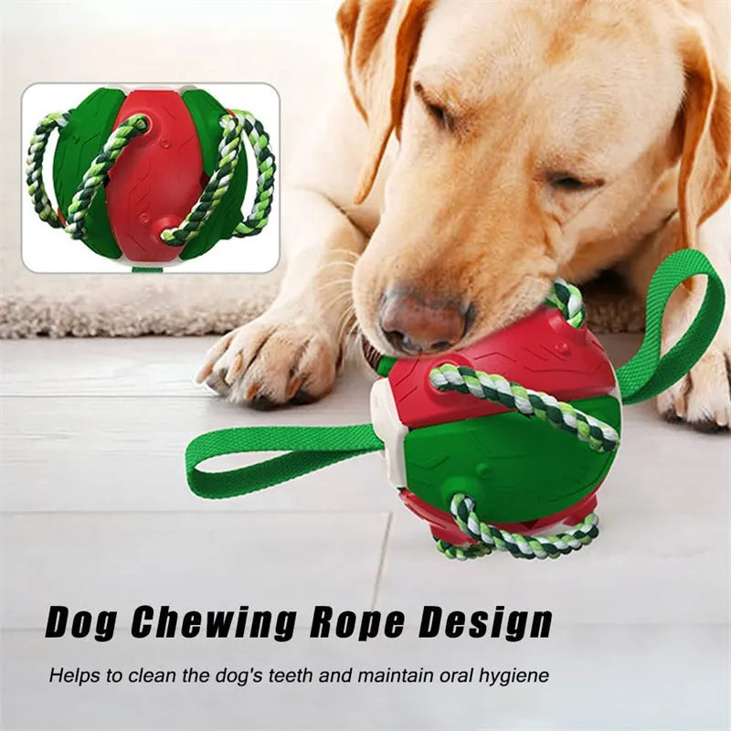 Interactive dog football soccer ball with tabs, flattened into frisbee shape, with woven nylon rope and cotton chewing rope, on grass.