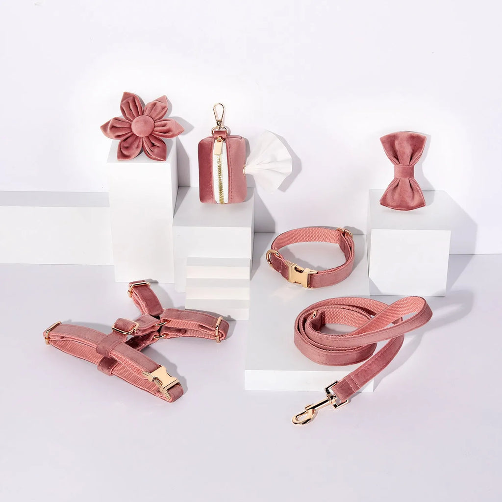 Classic velvet soft dog collar and leash harness set with bow tie, flower, and toilet bag accessories in multiple colours.