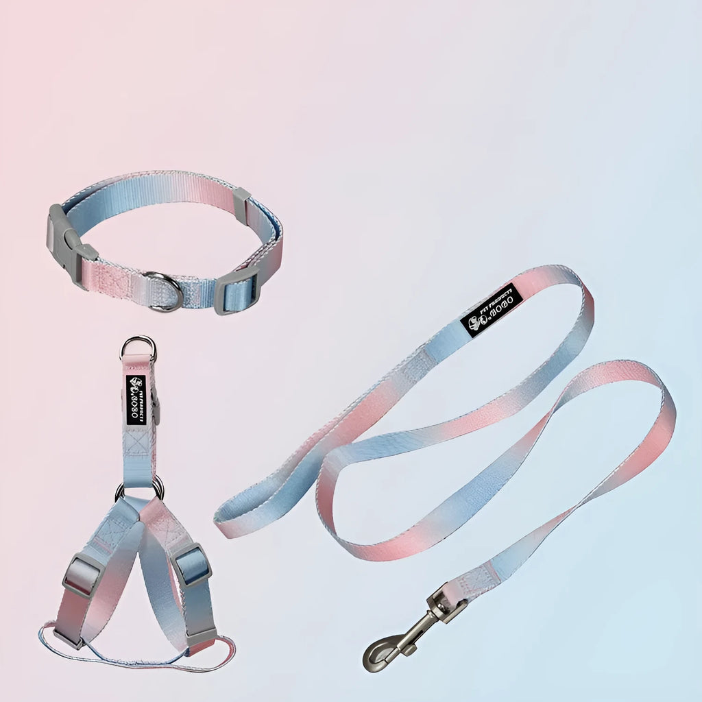 Gradient colour nylon dog leash and collar set in pink and blue combination