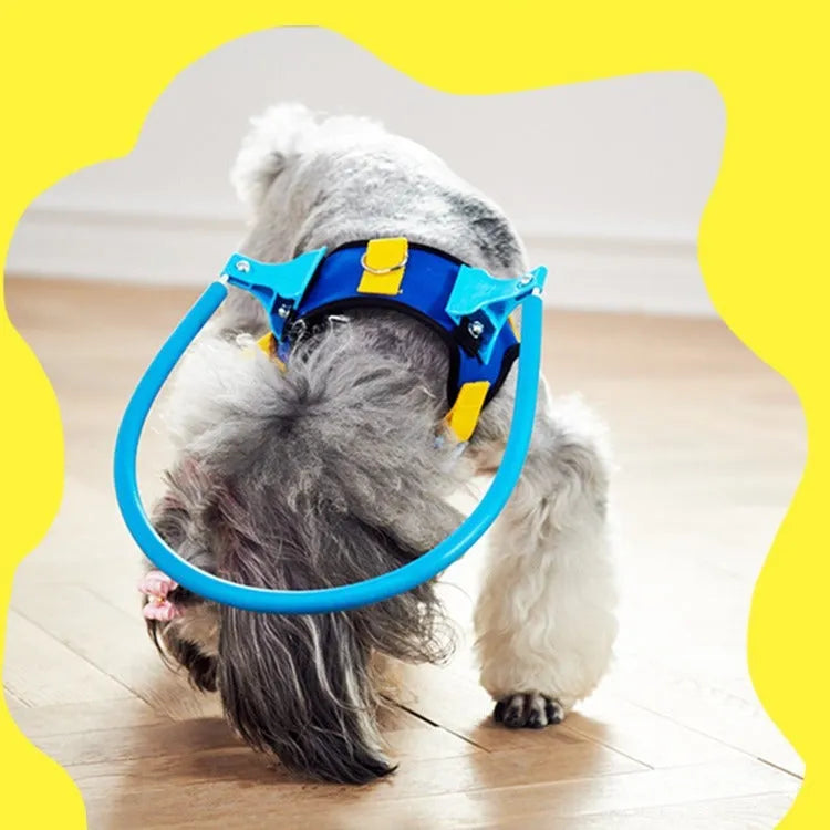 Blue adjustable anti-collision ring or halo for dogs, shown in multiple sizes.