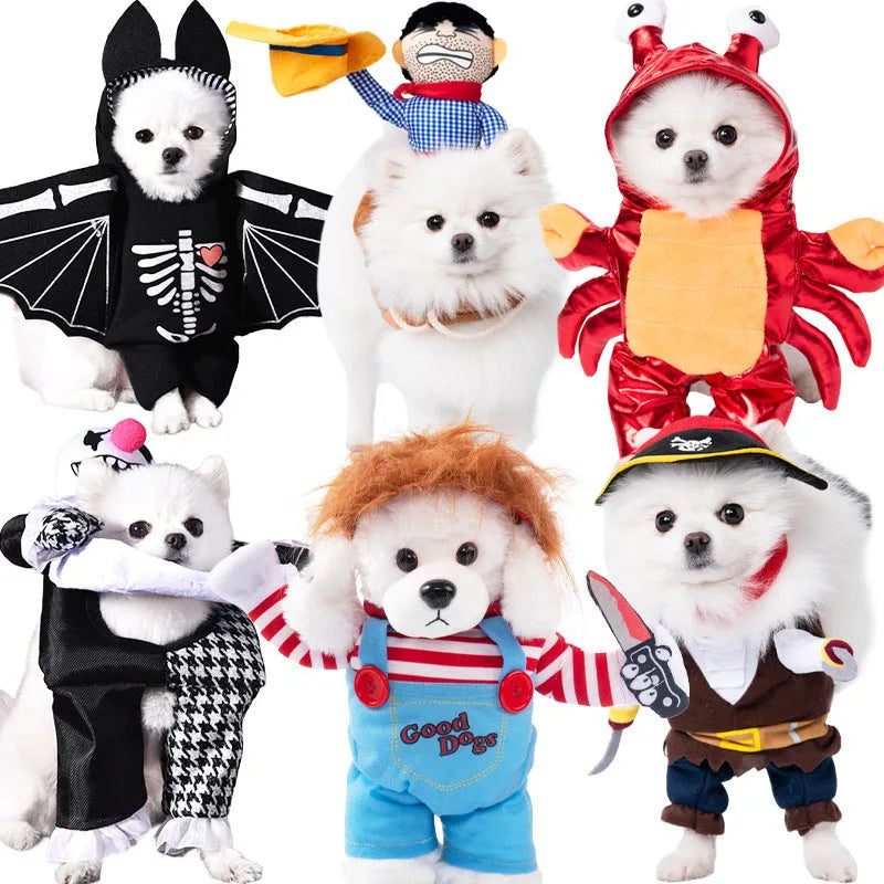 Halloween dog costume outfits including bat suit, devil costume, pumpkin pack and snowman outfit