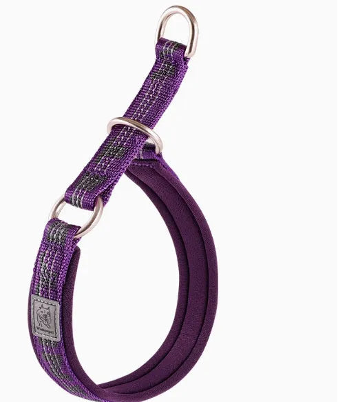 P Chain style dog collar in nylon webbing with aluminium alloy hardware, shown in an adjustable size on a colour background.