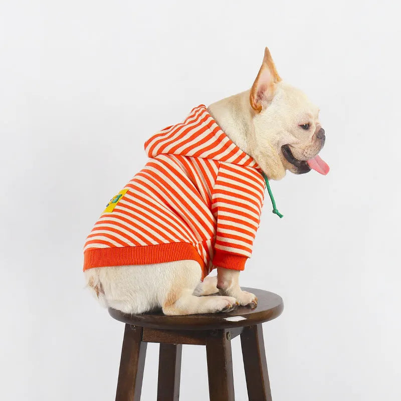 Orange cotton hooded dog sweater on a mannequin, showing Japanese style design.