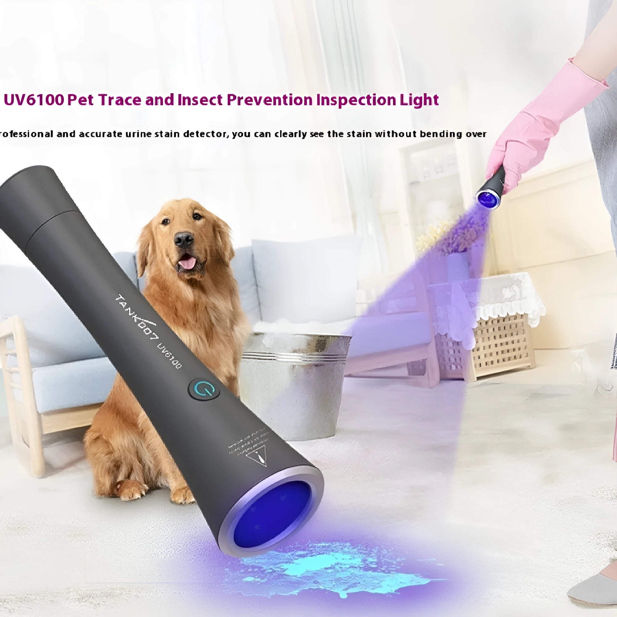 Black aluminium UV flashlight with USB-C port for detecting pet urine stains and insects.