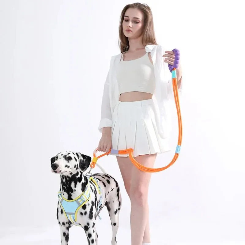 Dog leash with foam handle and 140cm nylon traction rope in choice of four colours