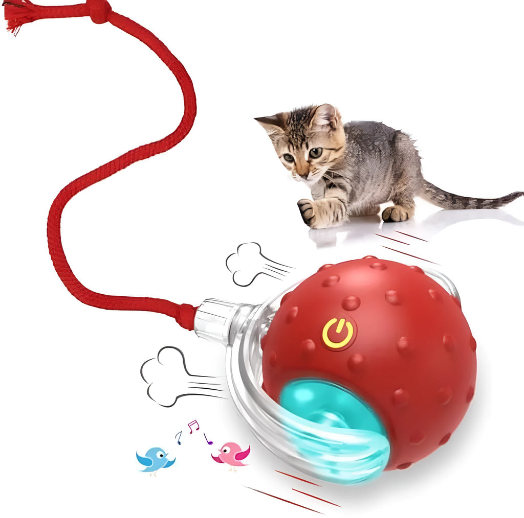 Red motion-activated chirping cat toy rolling on carpet with fast action